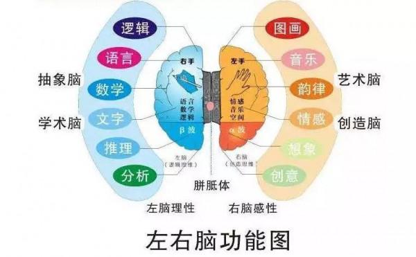 雙胞胎從小被分開養，上學之後差距大，一個是學霸，一個是學渣