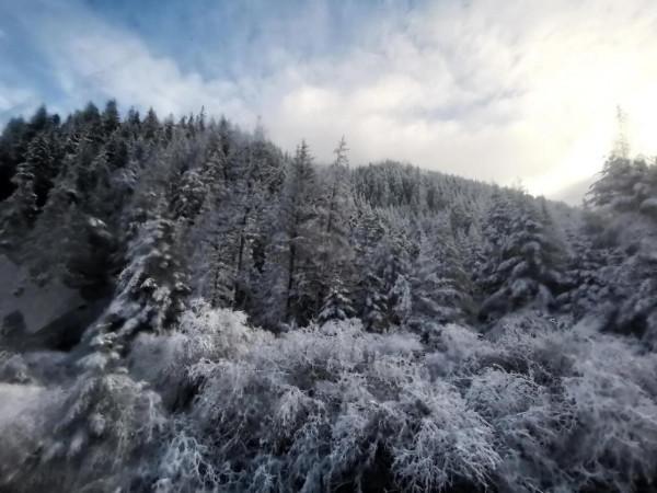 九寨溝的第一場雪 晶瑩剔透 恍若進入了童話世界