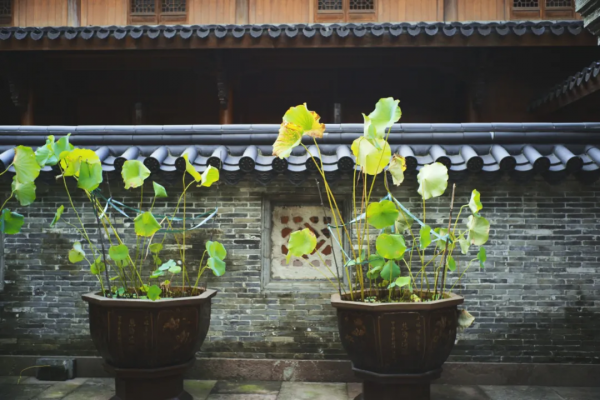 別再說什麼小京都了，寧波這些寺廟來打臉了