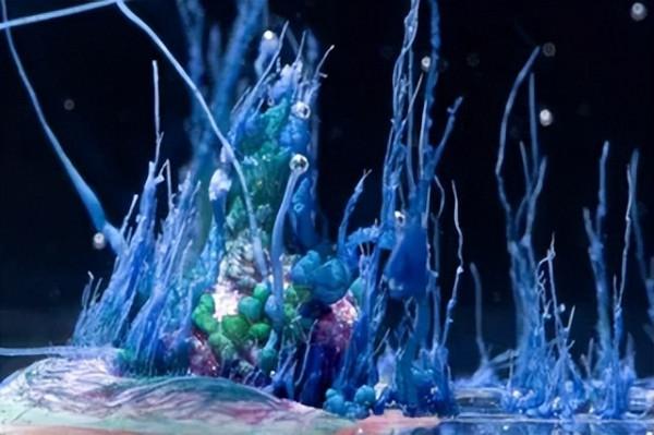 水晶化學園實驗:金屬鹽與矽酸鈉變身水上花園 水晶化學園實驗:金屬鹽與矽酸鈉變身水上花園