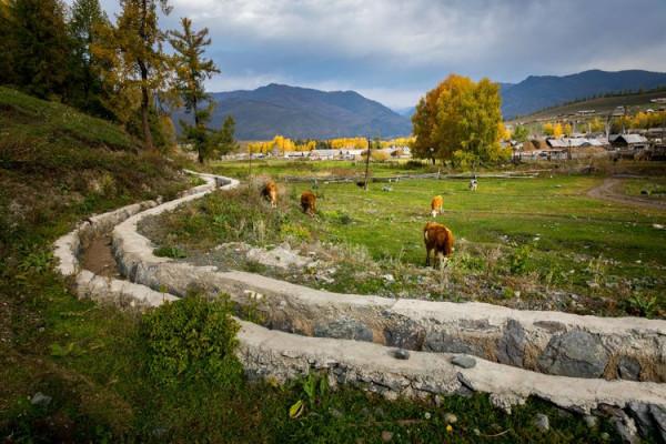 「攝影」西北第一村——白哈巴,讓你去了不想走的一個地方 「攝影」西北第一村——白哈巴,讓你去了不想走的一個地方