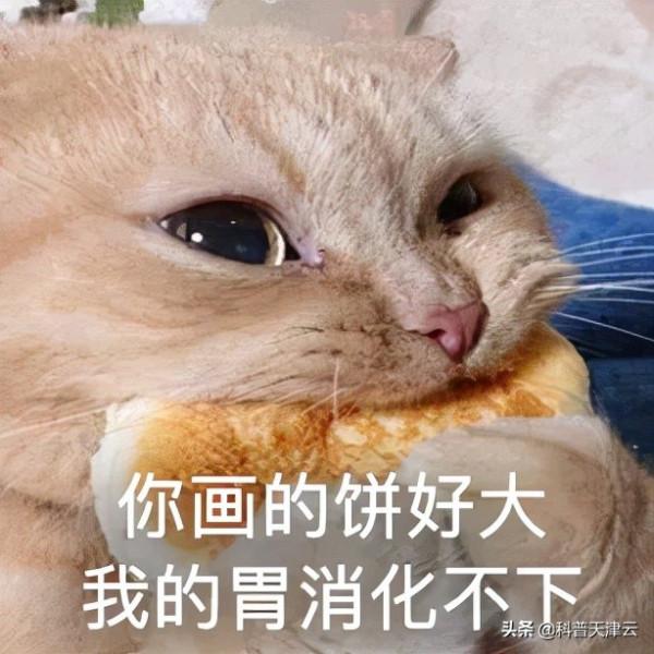 胃不好的人,儘量別吃這種藥!這4類藥才能保護你的胃 胃不好的人,儘量別吃這種藥!這4類藥才能保護你的胃