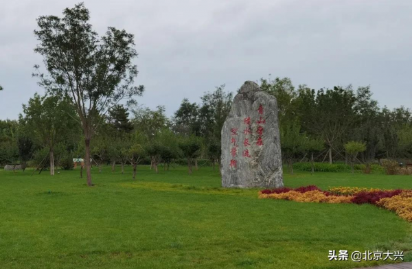 快去看看！大興新晉網紅打卡地，美爆了！