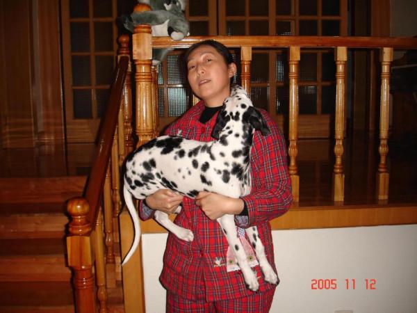 我作為一個非常愛狗的人,為什麼再也不養狗了 我作為一個非常愛狗的人,為什麼再也不養狗了