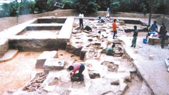 山東挖出6000年前古墓，對骨骸研究後，發現了山東人個子高的原因