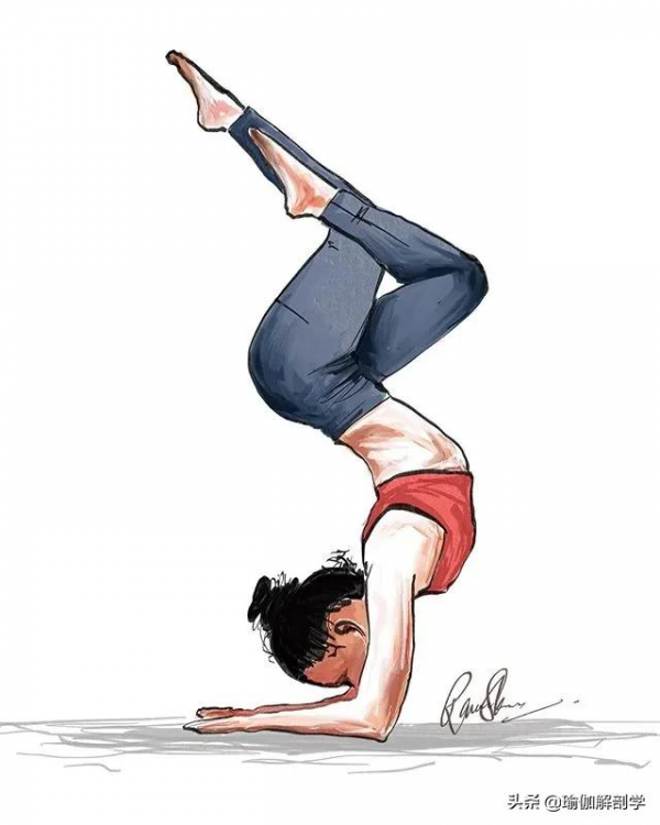 說起“凡爾賽”,誰都比不過瑜伽人 說起“凡爾賽”,誰都比不過瑜伽人