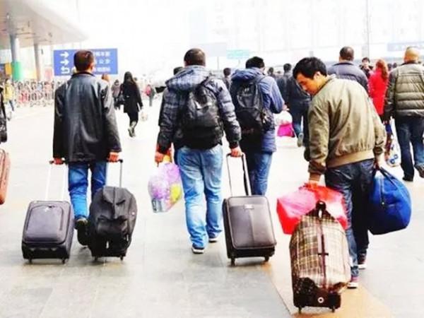 退伍老兵“騙”妻子1000萬,進深山與豬“作伴”,1年狂賺800萬 退伍老兵“騙”妻子1000萬,進深山與豬“作伴”,1年狂賺800萬