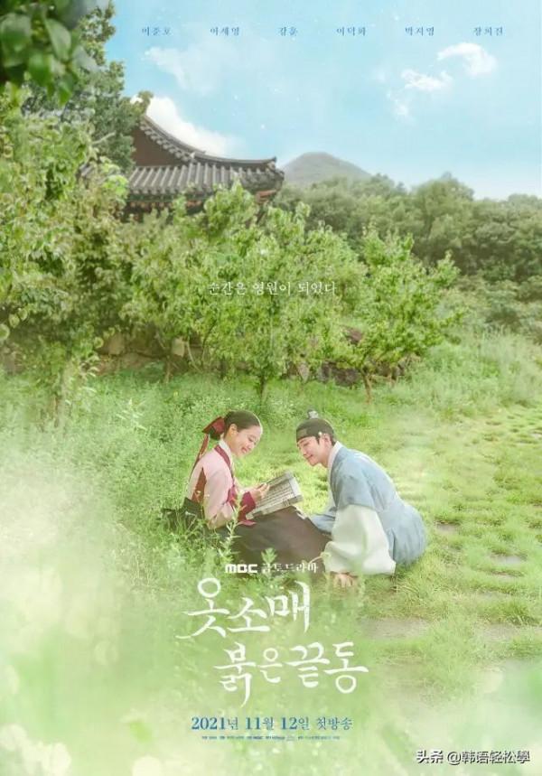 十一月看片指南 十一月看片指南