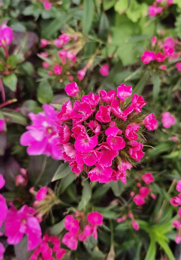 週日，我們的工作日