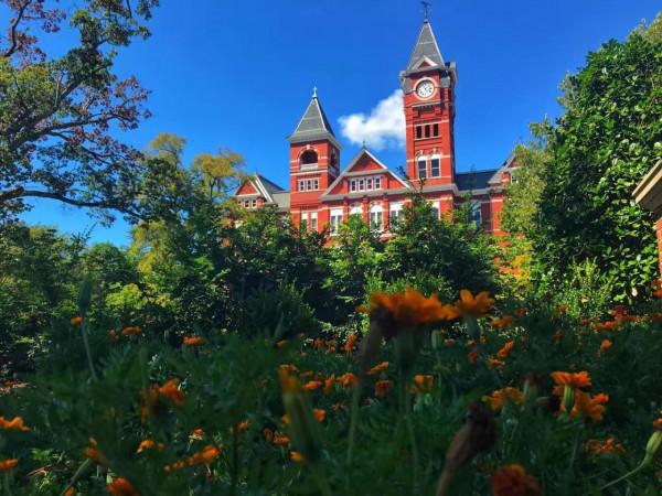 揭開迷霧,西雅圖大學錄取全過程曝光 揭開迷霧,西雅圖大學錄取全過程曝光