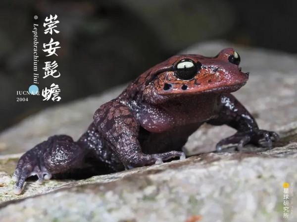 出發！看中國五大國家公園