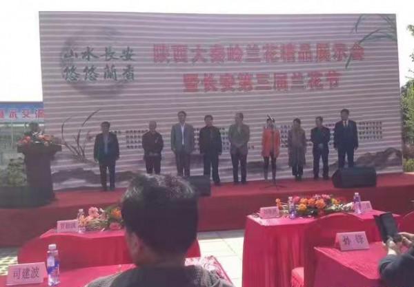 4年前,陝西蘭展上一顆蕙蘭獲得特金獎,後來以150萬元的價格成交 4年前,陝西蘭展上一顆蕙蘭獲得特金獎,後來以150萬元的價格成交