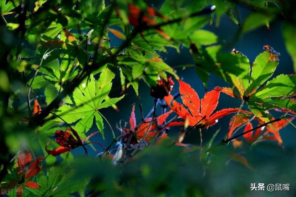 《尉繚子》原文 譯文(十七) 《尉繚子》原文 譯文(十七)