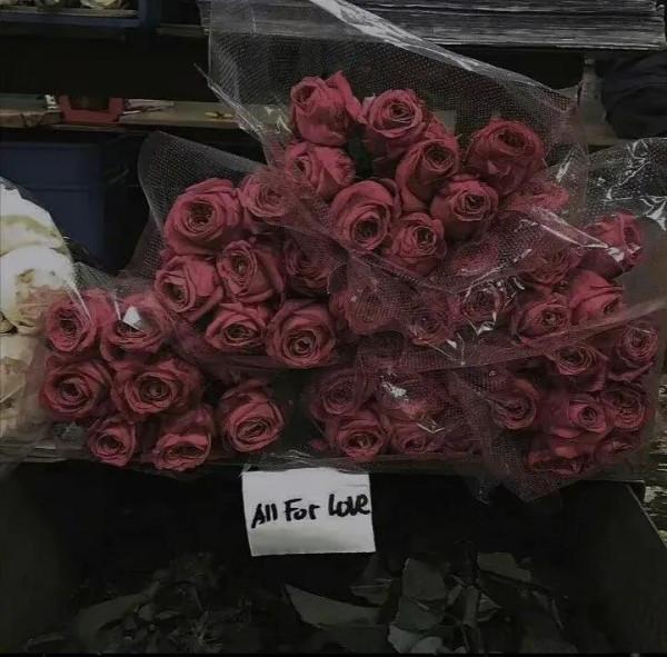 背景圖｜不能告訴她 世界上沒有奧特曼