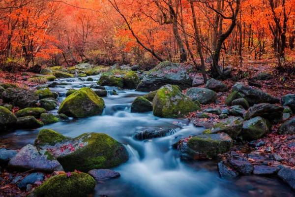 寒冬將至，在心裡重溫深秋的溫暖與美好