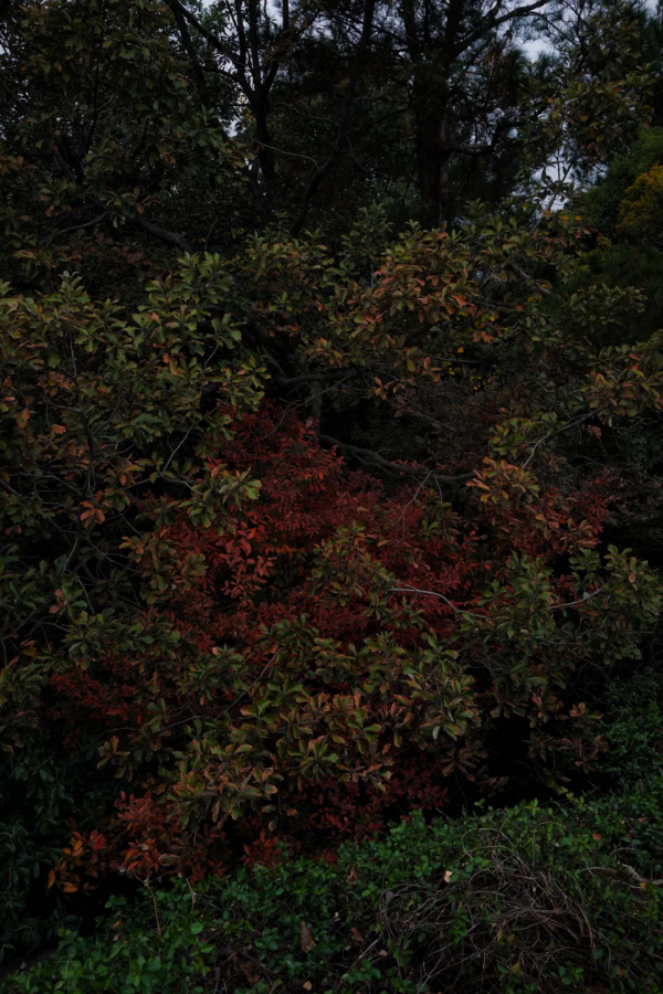 你以為是西湖,並不是真正的西湖 你以為是西湖,並不是真正的西湖