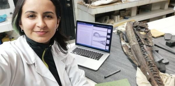 科學家發現新品種魚龍化石 可追溯到1.3億年前 科學家發現新品種魚龍化石 可追溯到1.3億年前