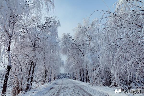 立冬後，推薦4道硬核菜“補嘴空”，好吃又滋補，入冬後吃太爽了