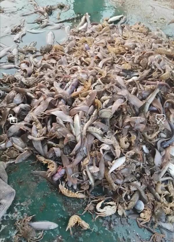 黃驊港出海+南大港溼地兩日遊能不去就別去了，原因