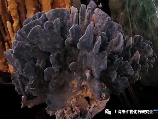 周梅教授：漫話方解石