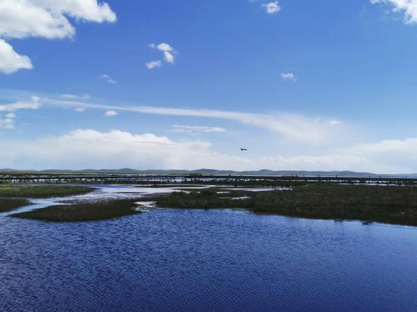甘南十天行遊記