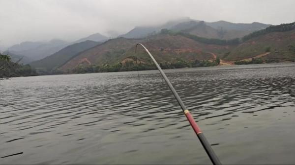這是最成功的入侵魚類,在國內繁衍數十年,居然沒幾個人知道 這是最成功的入侵魚類,在國內繁衍數十年,居然沒幾個人知道