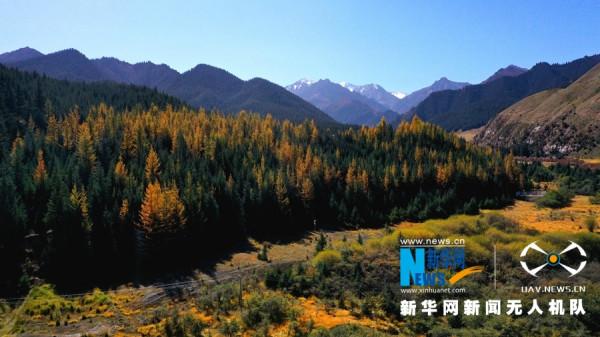 甘肅肅南:秋色絢麗如“調色盤” 甘肅肅南:秋色絢麗如“調色盤”