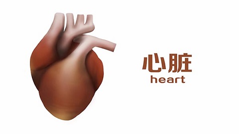 為什麼說跳繩是“運動之王”？骨科醫生說出幾個好處，早了解