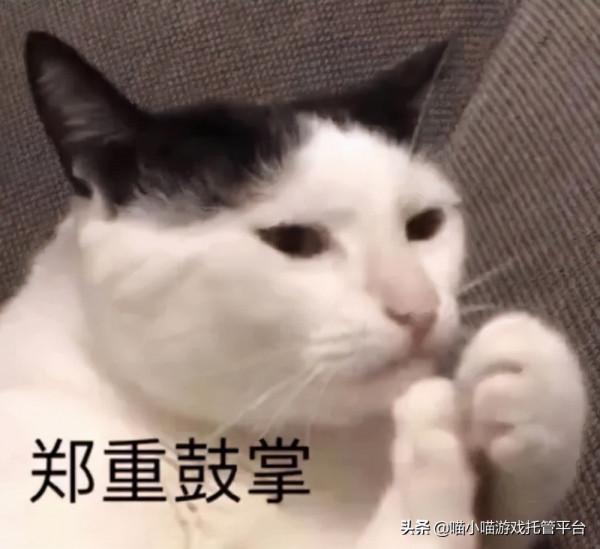 代練被騙怎麼辦?被騙後操作指南 代練被騙怎麼辦?被騙後操作指南