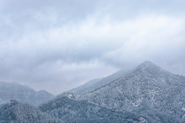 九九消寒，最適合做這些風雅小事