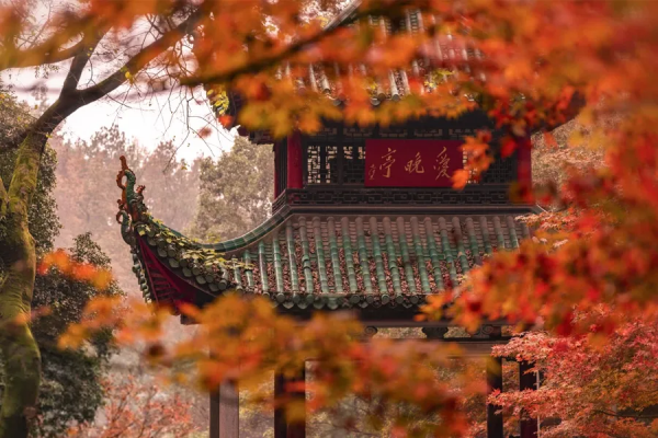 為什麼我們都愛大唐? 為什麼我們都愛大唐?