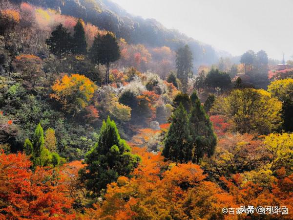 2021年最美八大秋景新鮮出爐 2021年最美八大秋景新鮮出爐