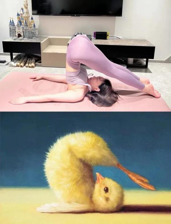 這隻小雞太有愛了，我們來跟著它一起練瑜伽吧
