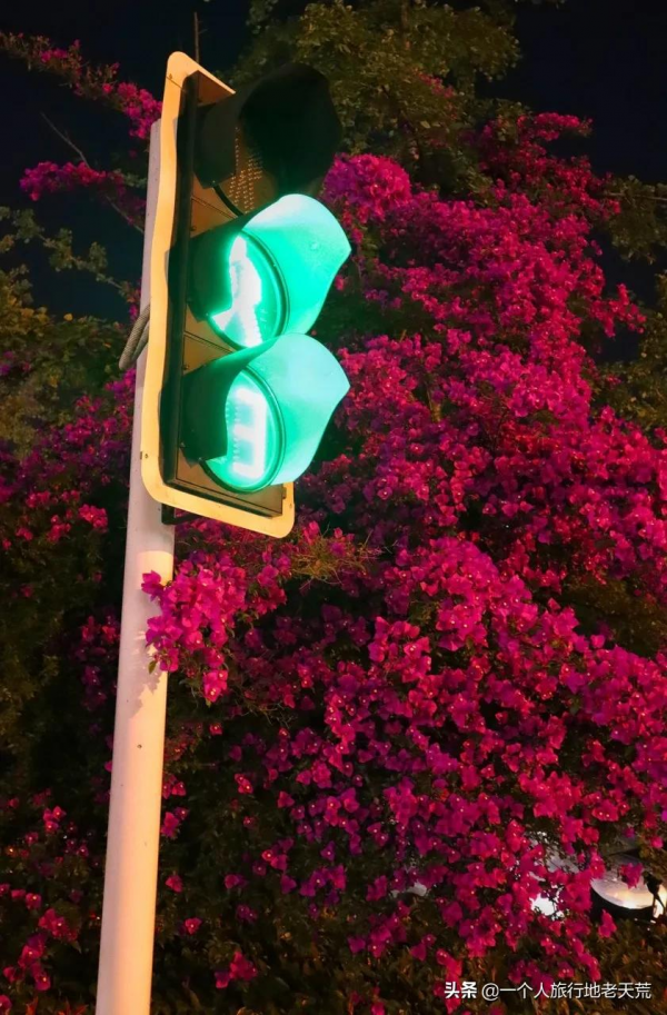 苦等5年終通高鐵！這座比成都還巴適的酒城，為了吃也要去一趟