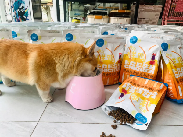 2天直播售出10噸,派膳師推出全價無谷鮮肉犬糧 2天直播售出10噸,派膳師推出全價無谷鮮肉犬糧