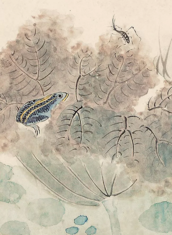 清代女子畫秋日荷塘,美醉了 清代女子畫秋日荷塘,美醉了