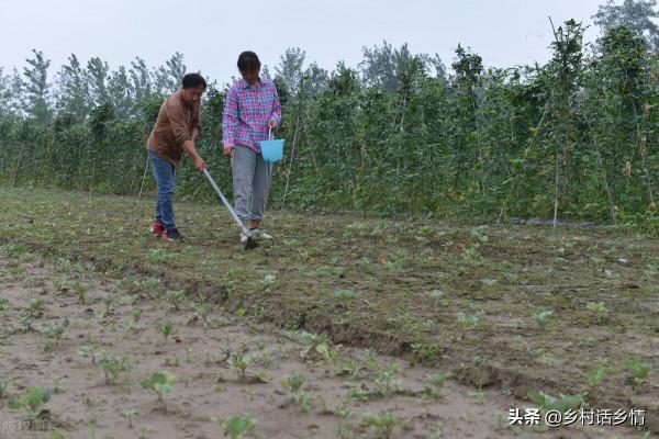 種植就用三種萬能肥料配方，學會了生根壯苗又增產，無可替代