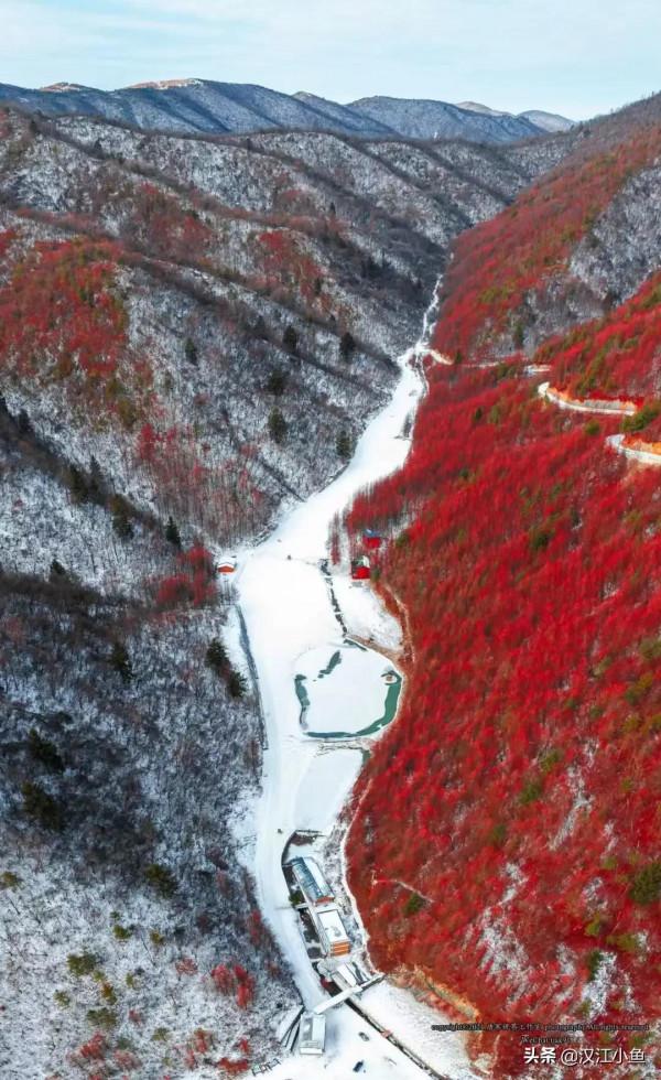 雪落巴山別樣紅