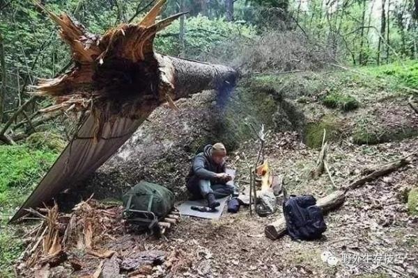 致命的迷魂草,現實版屍香魔芋,一美國探險旅遊團差點全軍覆沒 致命的迷魂草,現實版屍香魔芋,一美國探險旅遊團差點全軍覆沒