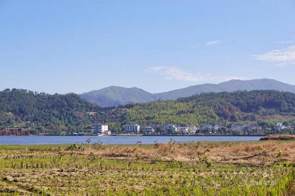 踏著深秋的落葉,去四明山來場自駕遊 踏著深秋的落葉,去四明山來場自駕遊