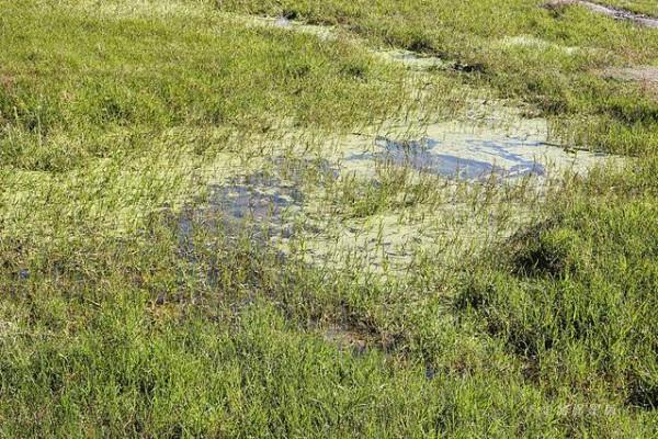 踏著深秋的落葉,去四明山來場自駕遊 踏著深秋的落葉,去四明山來場自駕遊