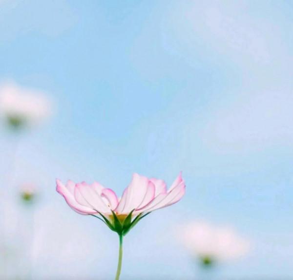 為人父母先把自己給活好