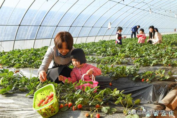 30個美麗鄉村盈利專案推薦