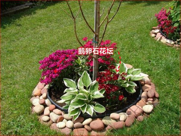 撿2袋鵝卵石回家,和上水泥在院子砌花壇,一層一層疊上去真漂亮 撿2袋鵝卵石回家,和上水泥在院子砌花壇,一層一層疊上去真漂亮