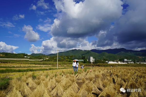 國慶，小編邀你一起到自羌朗擁抱大自然