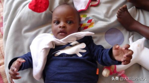 細思極恐！憨厚的外表藏著雞賊的野性，家豬真的會吃人嗎？