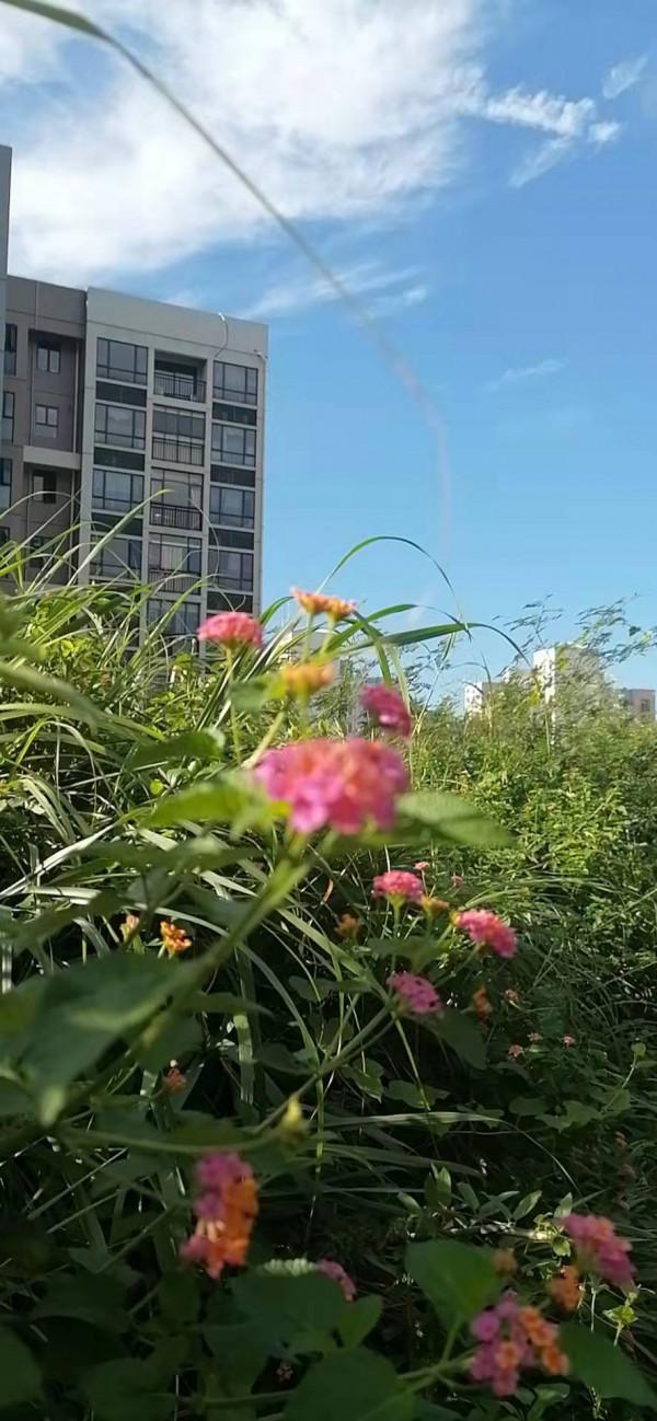 雲彩下的山城系列（四）