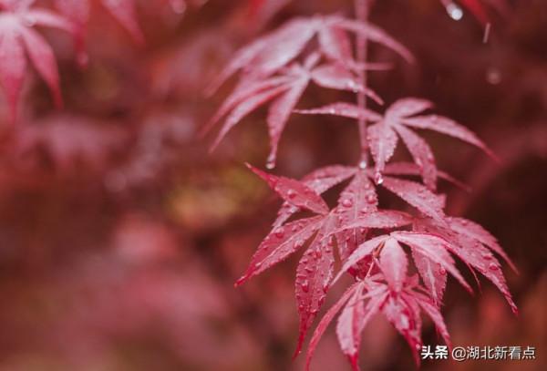 秋天最美的7大城市