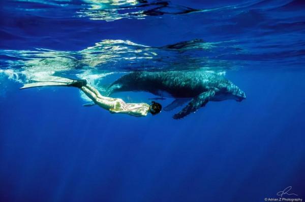 地球上最後的“淨土”，南太平洋未被開發的天堂，醉了