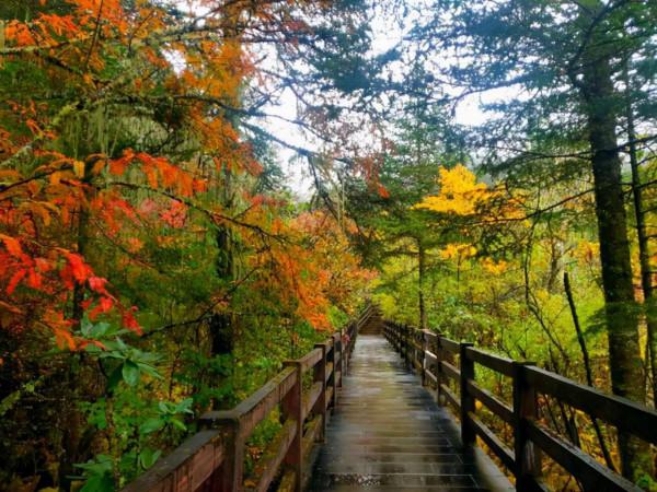 1000張門票免費送！金秋出遊自駕川西出行攻略